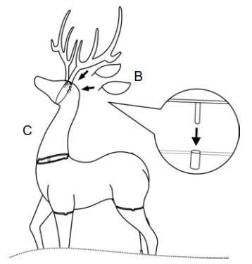 HOME ACCENTS Holiday 4 5ft Polar Wishes LED Deer with Bow - ASSEMBLY 5