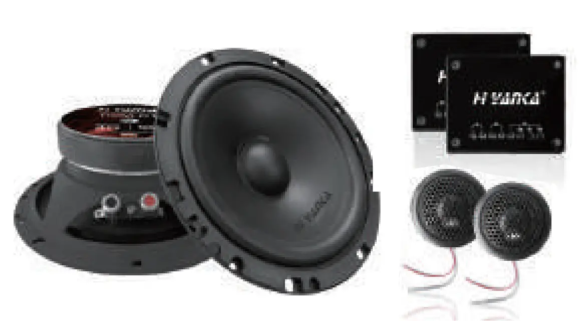 Explore the Complete Spectrum of Excellence