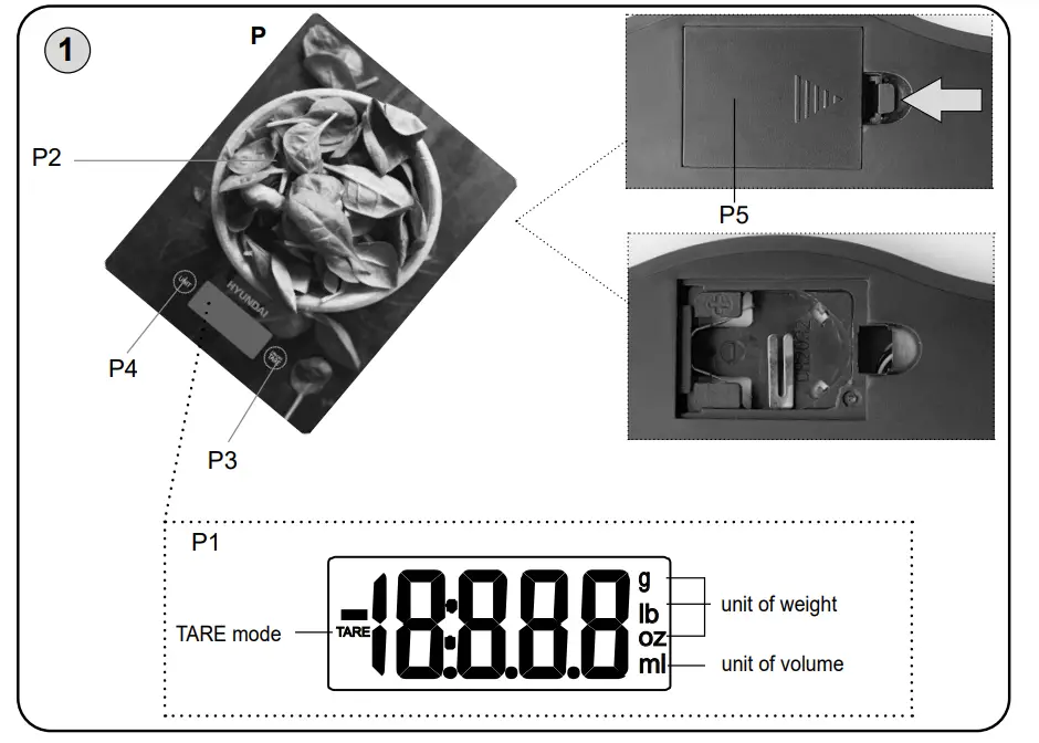 Description Of The Controls