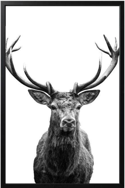 IKEA-BJÖRKSTA-Picture-with-Frame-Head-PRODUCT