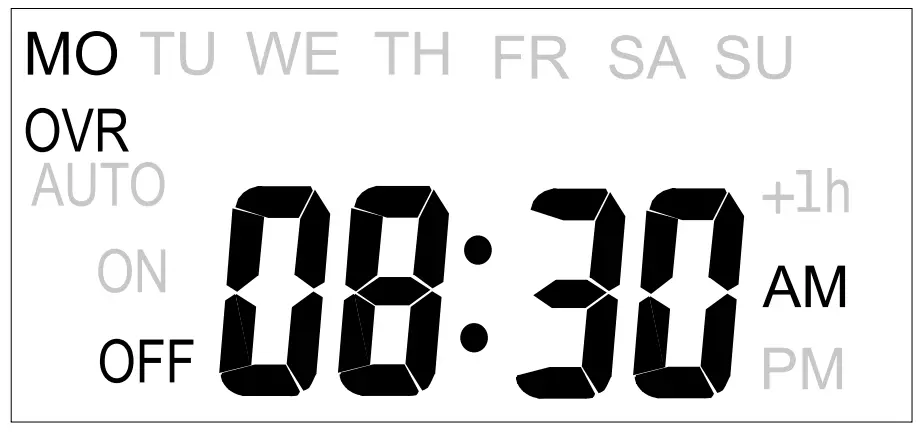 Timer Display
