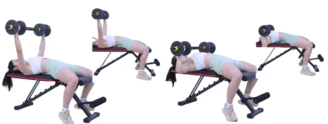 LINODI-Weight-Bench-Adjustable-Strength-Training-Benches- (4)