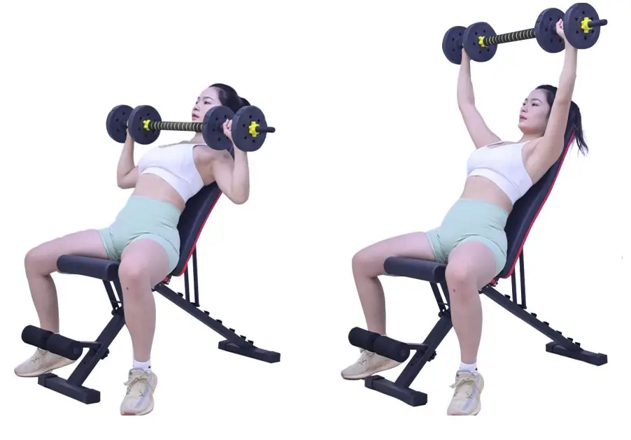 LINODI-Weight-Bench-Adjustable-Strength-Training-Benches- (5)