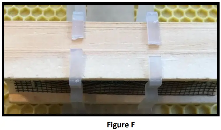 Cutting the Queen Cage Holder (QCH):