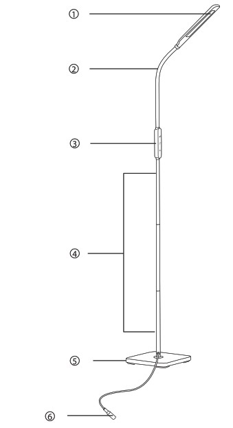 Lastar CM006R LED Floor Lamp - Product Diagram