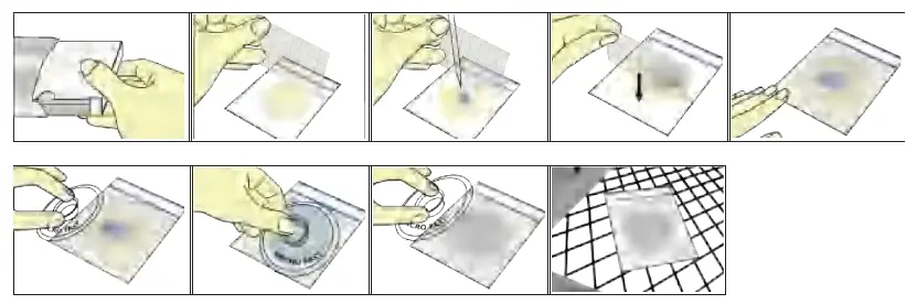 MICROFAST LR1303 1204 Yeast and Mold Count Plate-