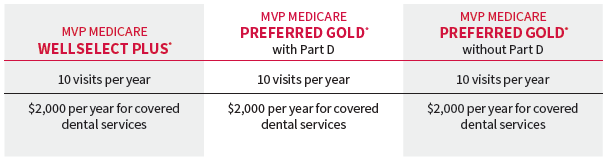 MVP-HEALTH-PLAN-2024-Medicare-Advantage-Plans-FIG-1 (4)