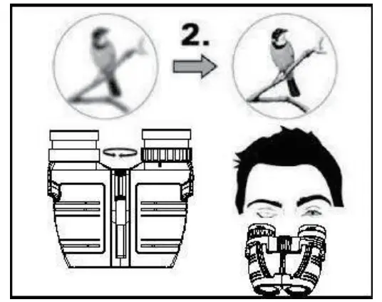 OMZER 12X25 Compact Binoculars - feager 2