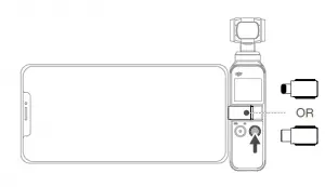 shape, rectangle