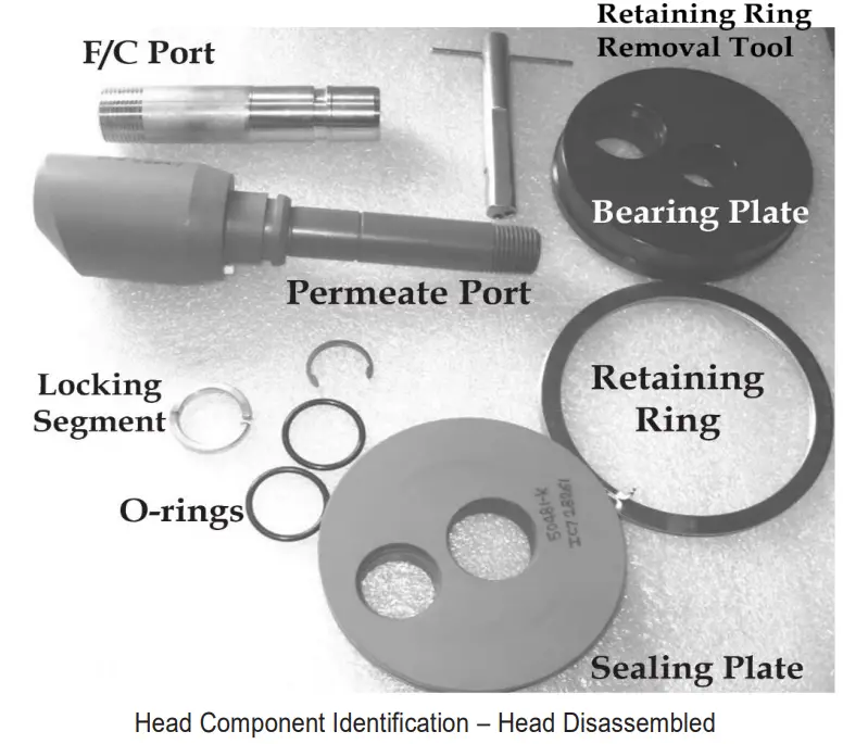 Head Disassembly