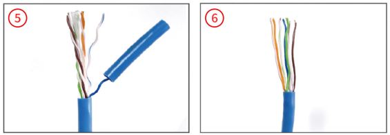 PETECHTOOL-8P8C-Color-Code-FIG-5