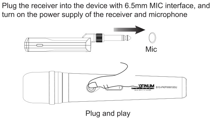 PLATINUM karaoke B10-PKPWM100U Portable Wireless Microphone - How To Use
