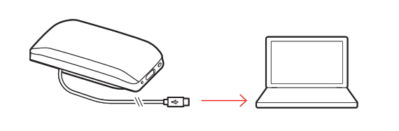 Poly - Corded setup