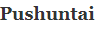 Pushuntai-LOGO