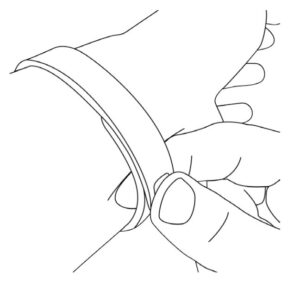 Putting on your Charge Fig 2