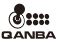 QANBA-N3-Drone-2-Wired-Joystick-fig-8