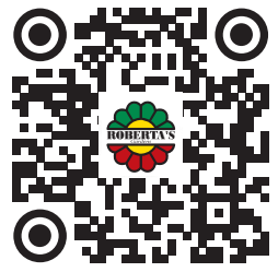 ROBERTA S Gardens M89796 4-Piece Caliope Cascade Violet Geranium Plants - qr