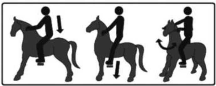 ROLLZONE-My-Pony-Ride-on-Loy-fig-3