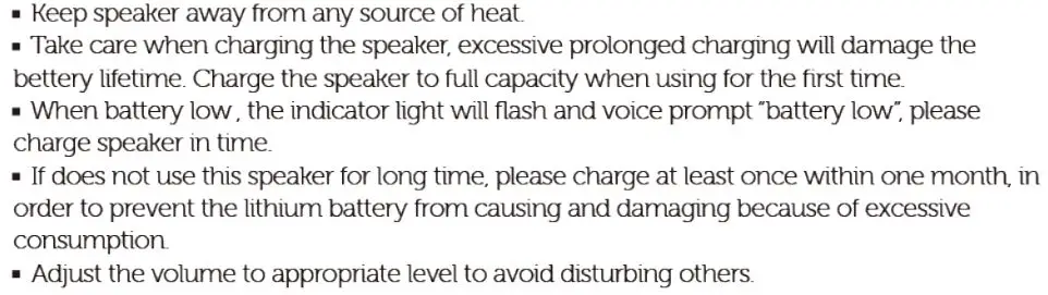 Sbode 06 Portable Bluetooth Speaker - Important Safety Instructions