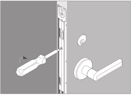 Schlage LM9200 Series Lock Installation - Tighten the cylinder retaining screw