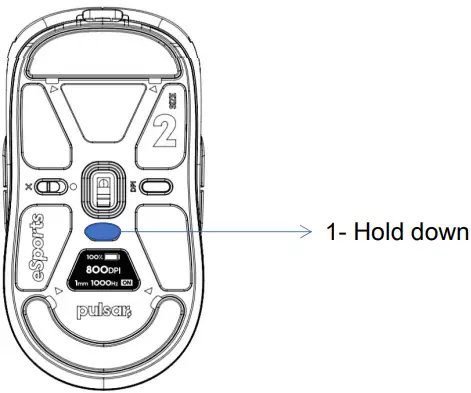 LOD Setting
