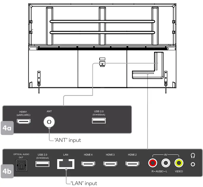 Remote & accessories