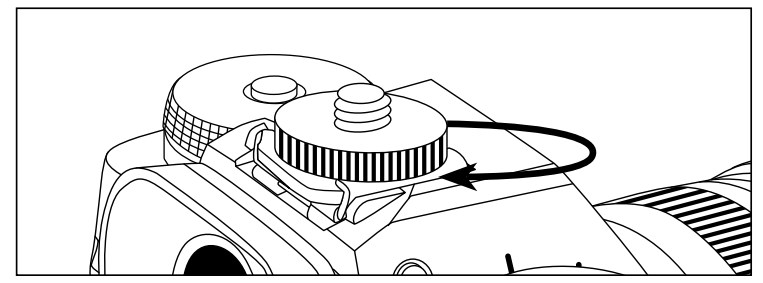 MOUNT THE BALLHEAD TO A SHOE MOUNT