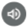 Speaker Icon