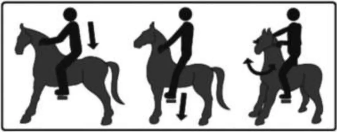 Riding Instruction