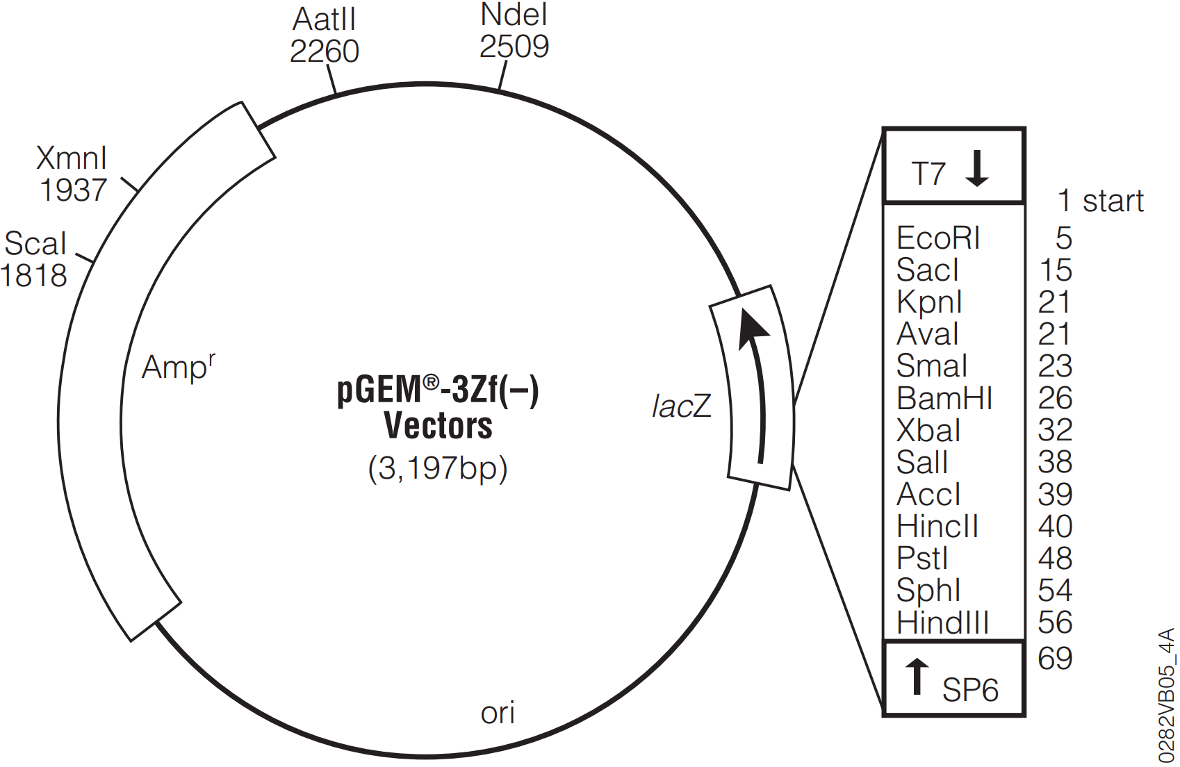 Vector circle map