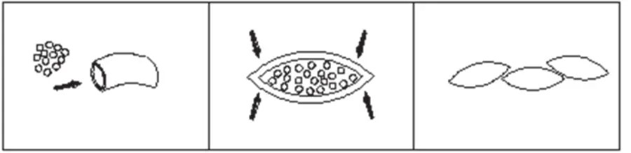 Shape Shown