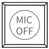 Button Icon