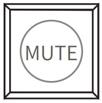 Button Icon