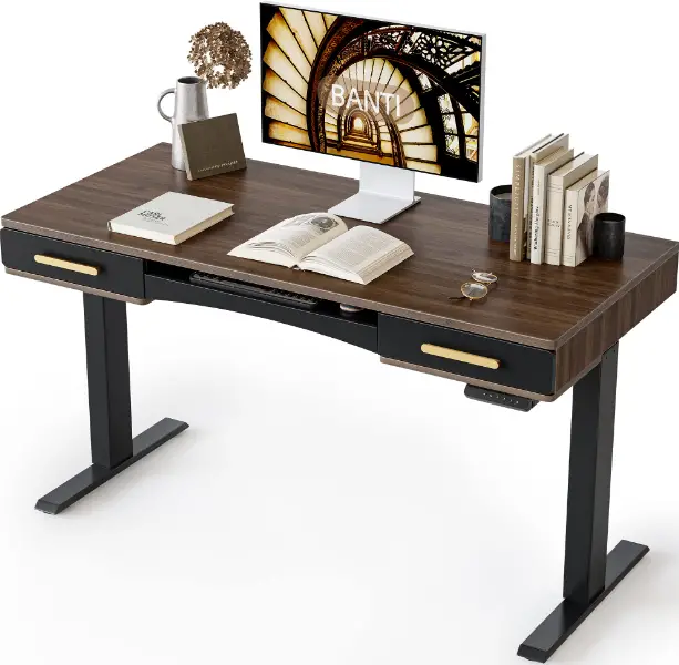 BANTI V1 Electric Standing Desk 55 x 26 