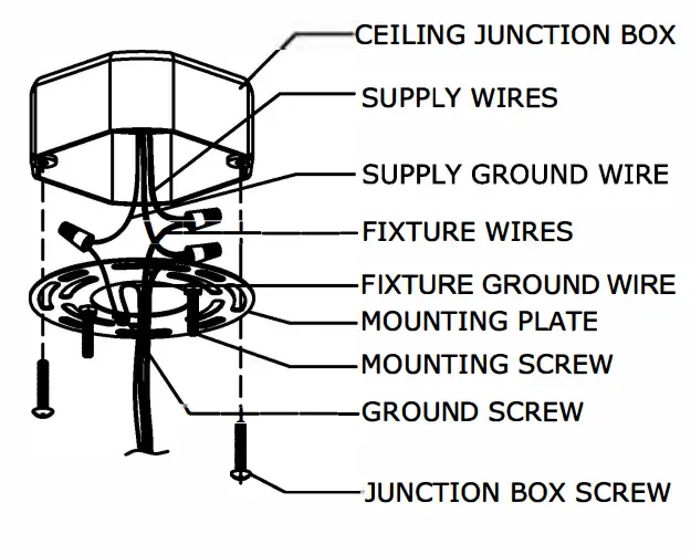 Assembly Instruction
