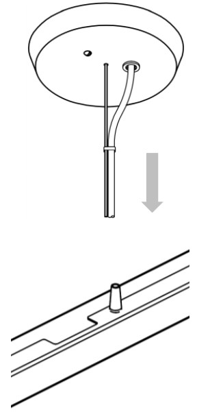 Warnings and Instructions