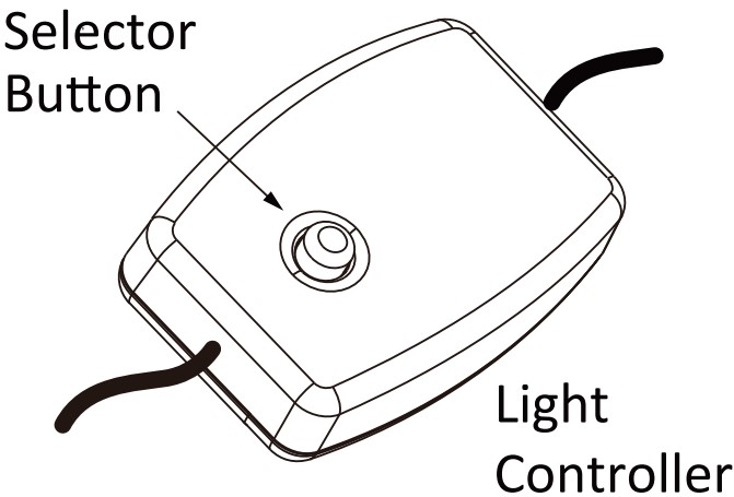 Overview