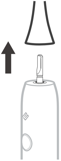 Changing the Brush Head