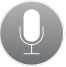 SoundCast VG1 - Record Icon