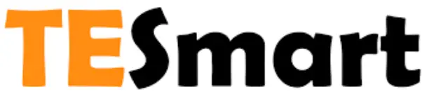 TESmart logo