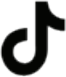 TikTok icon 3