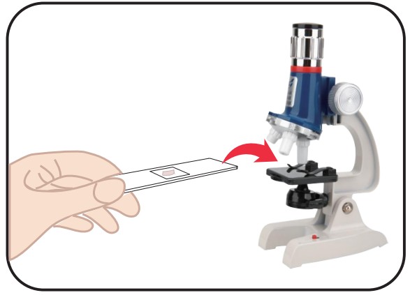 UARZT 58 Pcs Kids Beginner Microscope - step 18