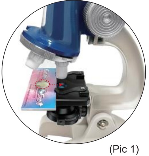 UARZT 58 Pcs Kids Beginner Microscope - step 19