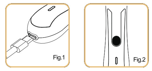 WELLSHAVE HY-6005 2 in 1 Nose Trimmer 2