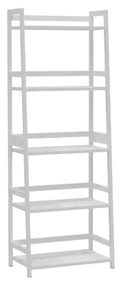 WTZ-MC-509-Ladder-Book-Shelf-PRO