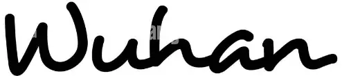 Wuhan logo
