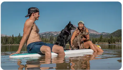 Zupapa-ERV-I-Bumper-Car-FIG- (33)