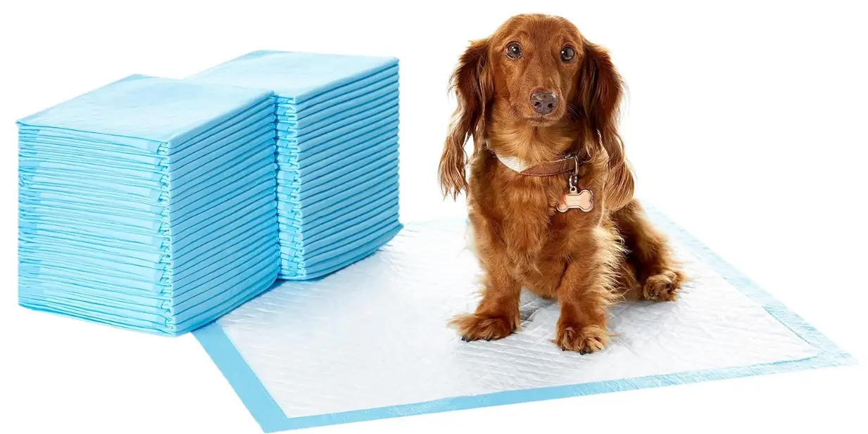 amazon-basics-B08HSHW89-Dog-and-Puppy-Potty-Training-Pads-product
