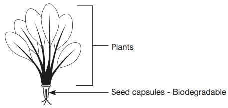aspara-GS1004-GS1005-Stylist-Lite-Smart-Grower (20)