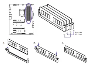 dimm slots